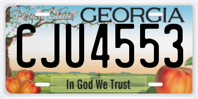 GA license plate CJU4553