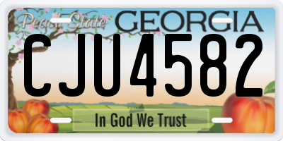 GA license plate CJU4582