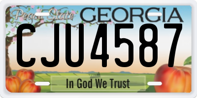 GA license plate CJU4587
