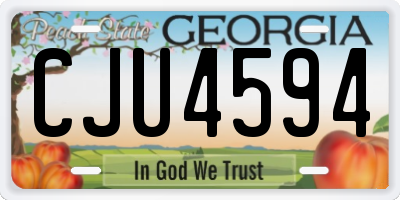 GA license plate CJU4594