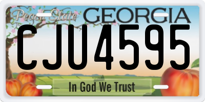 GA license plate CJU4595