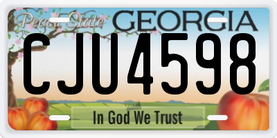 GA license plate CJU4598