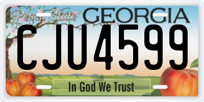 GA license plate CJU4599