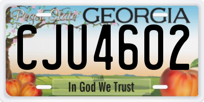 GA license plate CJU4602