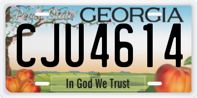 GA license plate CJU4614