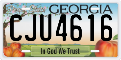 GA license plate CJU4616