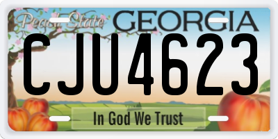 GA license plate CJU4623