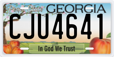 GA license plate CJU4641