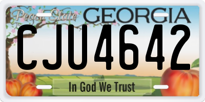 GA license plate CJU4642