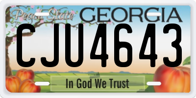 GA license plate CJU4643
