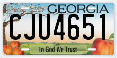 GA license plate CJU4651