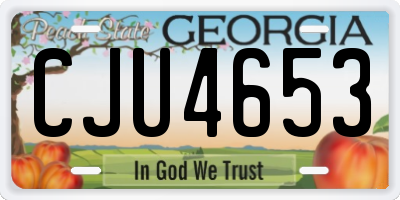 GA license plate CJU4653