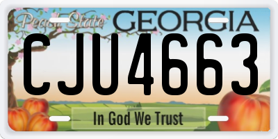 GA license plate CJU4663