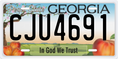 GA license plate CJU4691