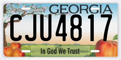 GA license plate CJU4817