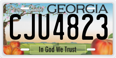 GA license plate CJU4823