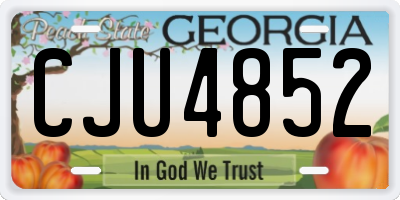 GA license plate CJU4852