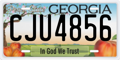 GA license plate CJU4856