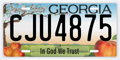 GA license plate CJU4875