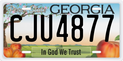 GA license plate CJU4877