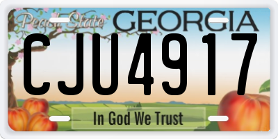 GA license plate CJU4917