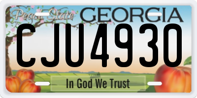 GA license plate CJU4930