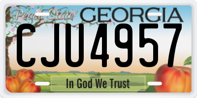 GA license plate CJU4957