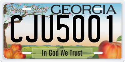 GA license plate CJU5001
