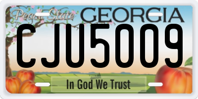 GA license plate CJU5009