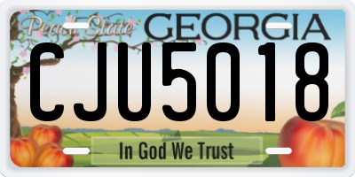 GA license plate CJU5018