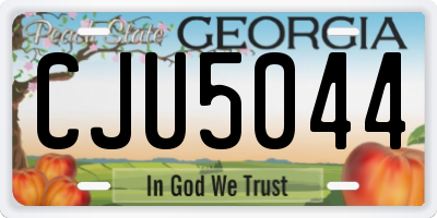 GA license plate CJU5044