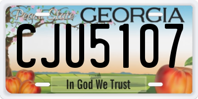 GA license plate CJU5107