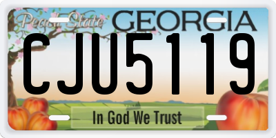 GA license plate CJU5119