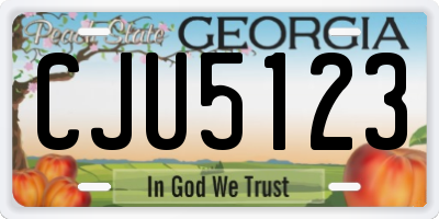 GA license plate CJU5123