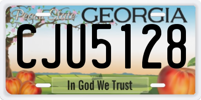 GA license plate CJU5128