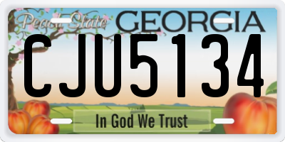 GA license plate CJU5134