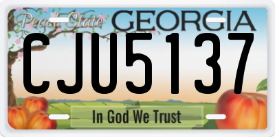 GA license plate CJU5137