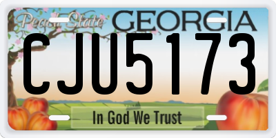 GA license plate CJU5173