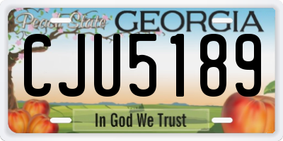 GA license plate CJU5189