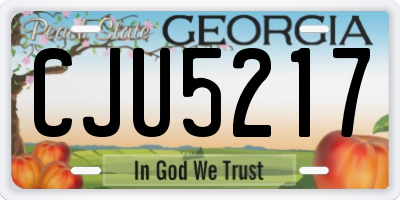 GA license plate CJU5217