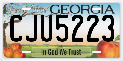 GA license plate CJU5223