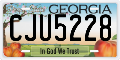 GA license plate CJU5228