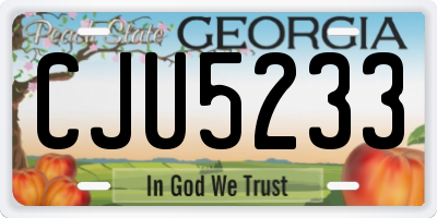 GA license plate CJU5233