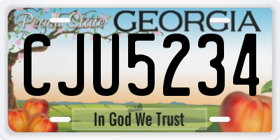 GA license plate CJU5234