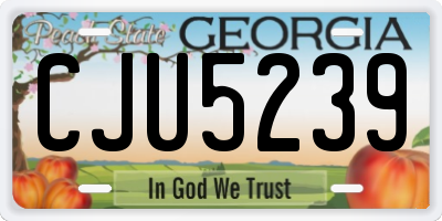 GA license plate CJU5239