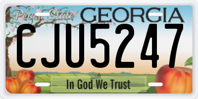 GA license plate CJU5247