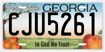 GA license plate CJU5261