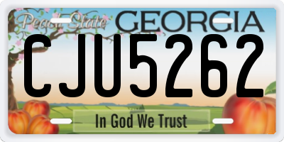 GA license plate CJU5262