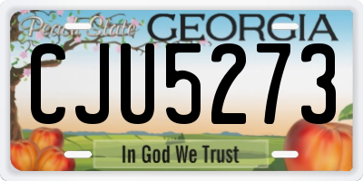 GA license plate CJU5273