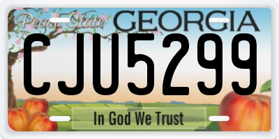 GA license plate CJU5299